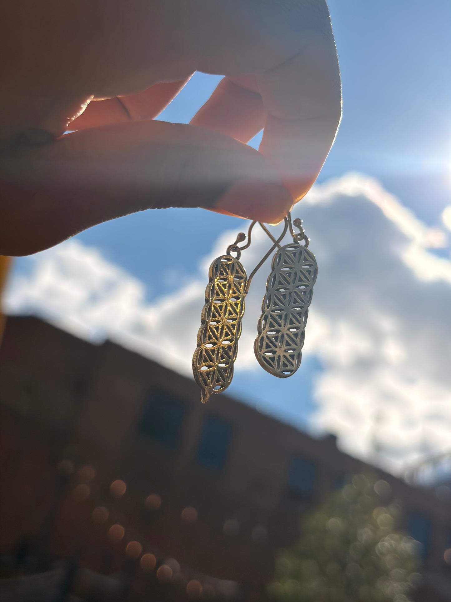 Stacked Seed of Life Brass Earrings